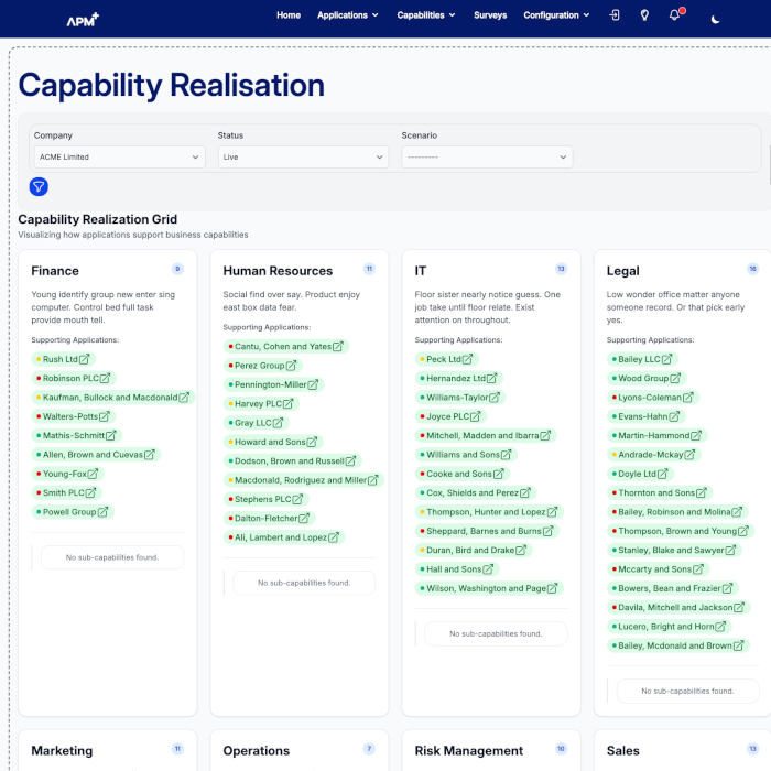 APM+ capability heatmap: business capabilities shaded by the applications supporting them, used to find duplicate coverage and capability gaps.
